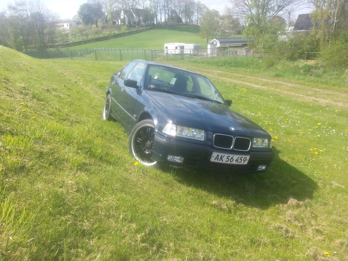 BMW E36 316i billede 8