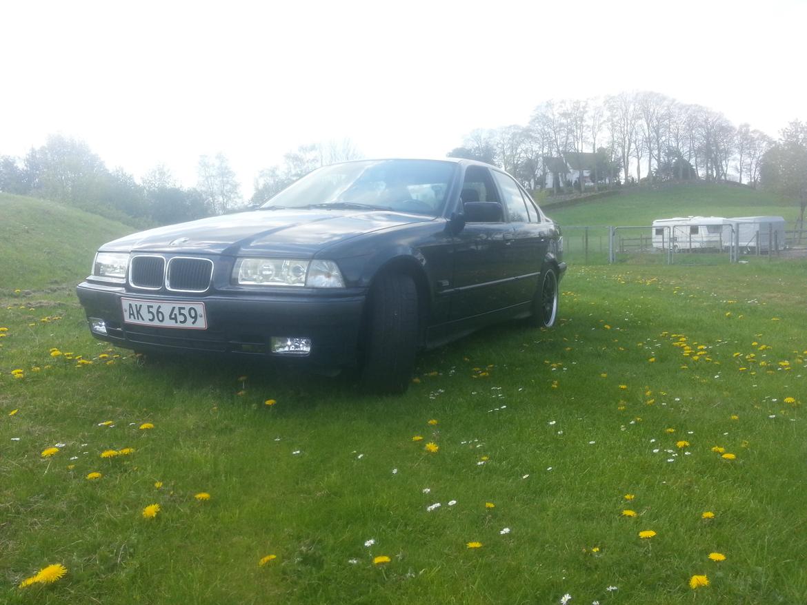 BMW E36 316i billede 3