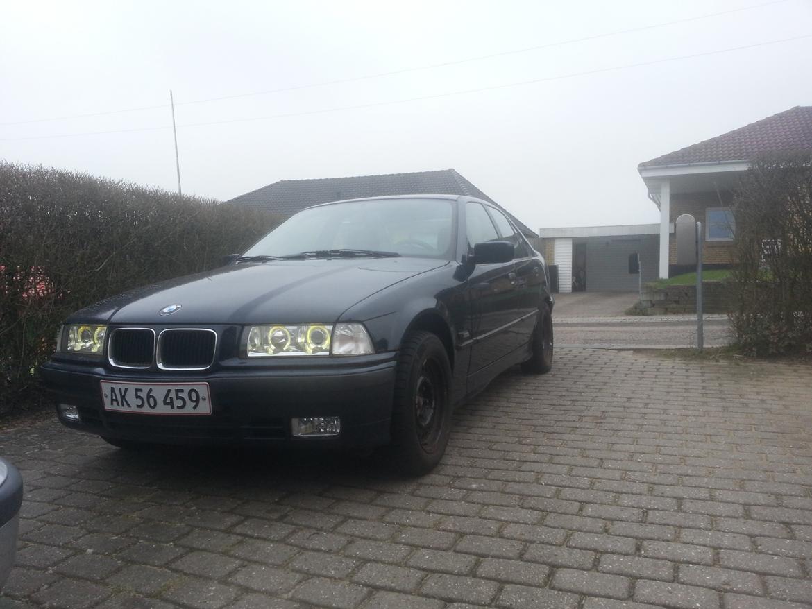 BMW E36 316i billede 11