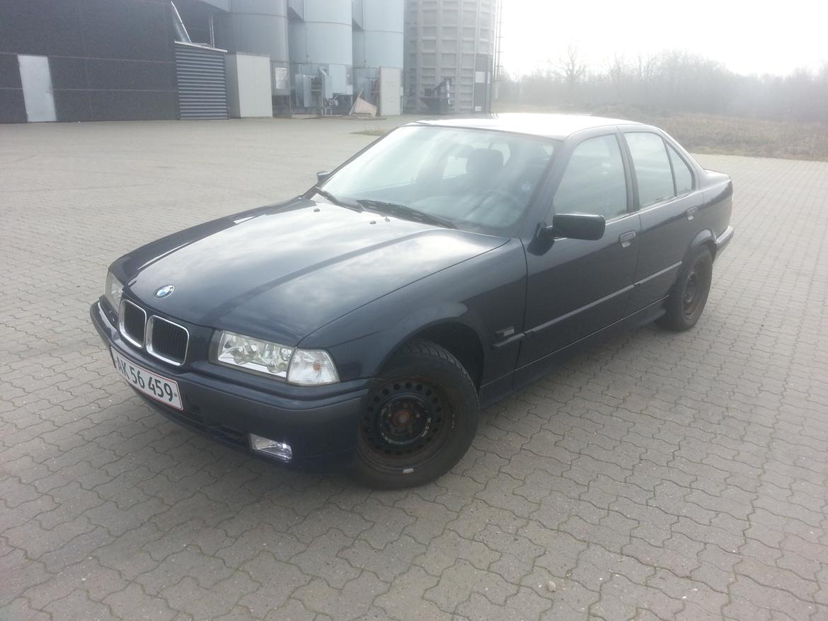 BMW E36 316i billede 13
