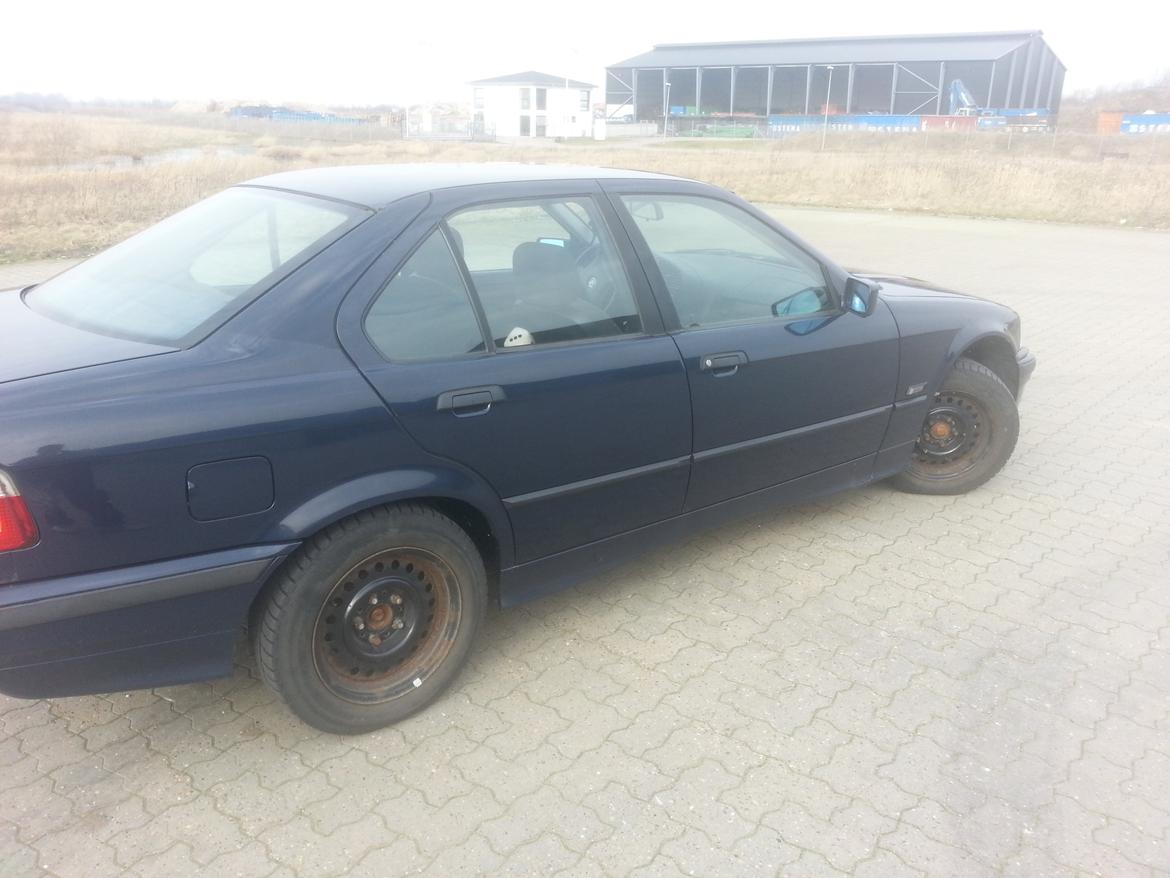 BMW E36 316i billede 17