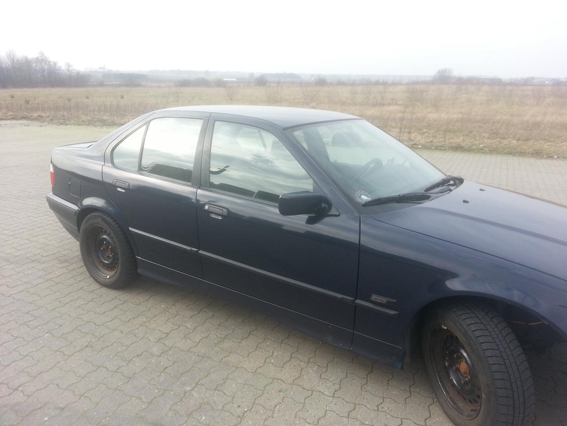 BMW E36 316i billede 18
