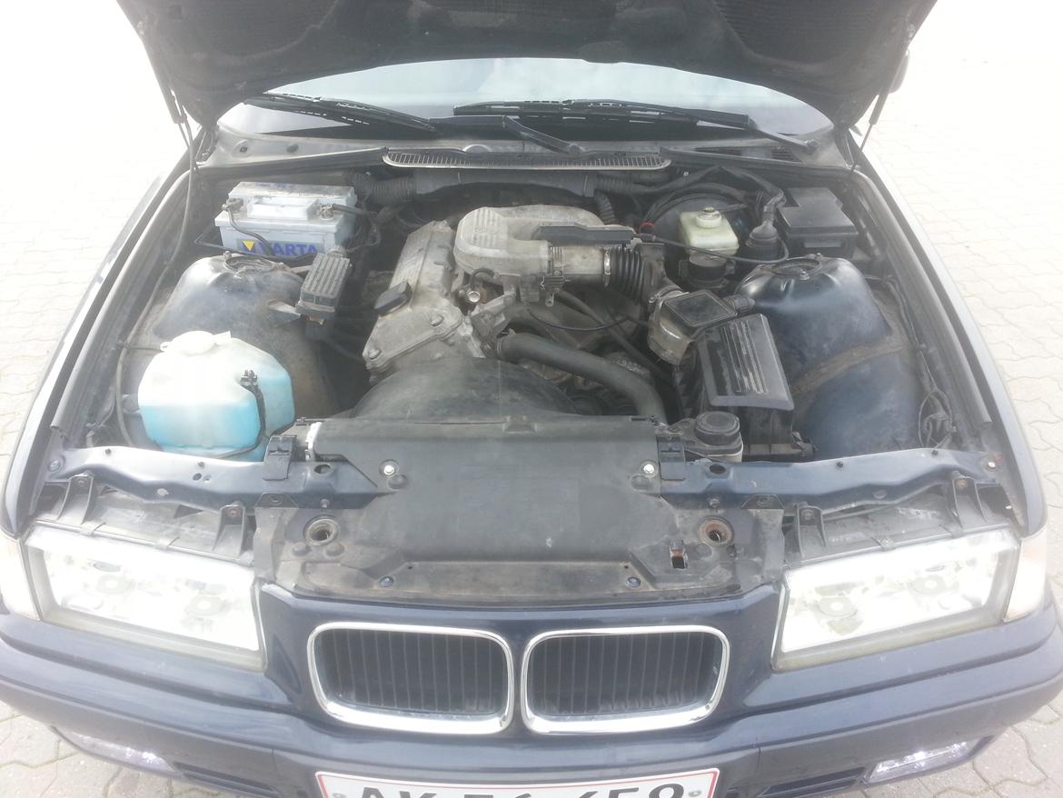 BMW E36 316i billede 21