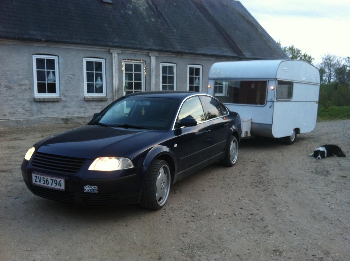 VW VW Passat AVB 1,9 TDI Man Limousine billede 14