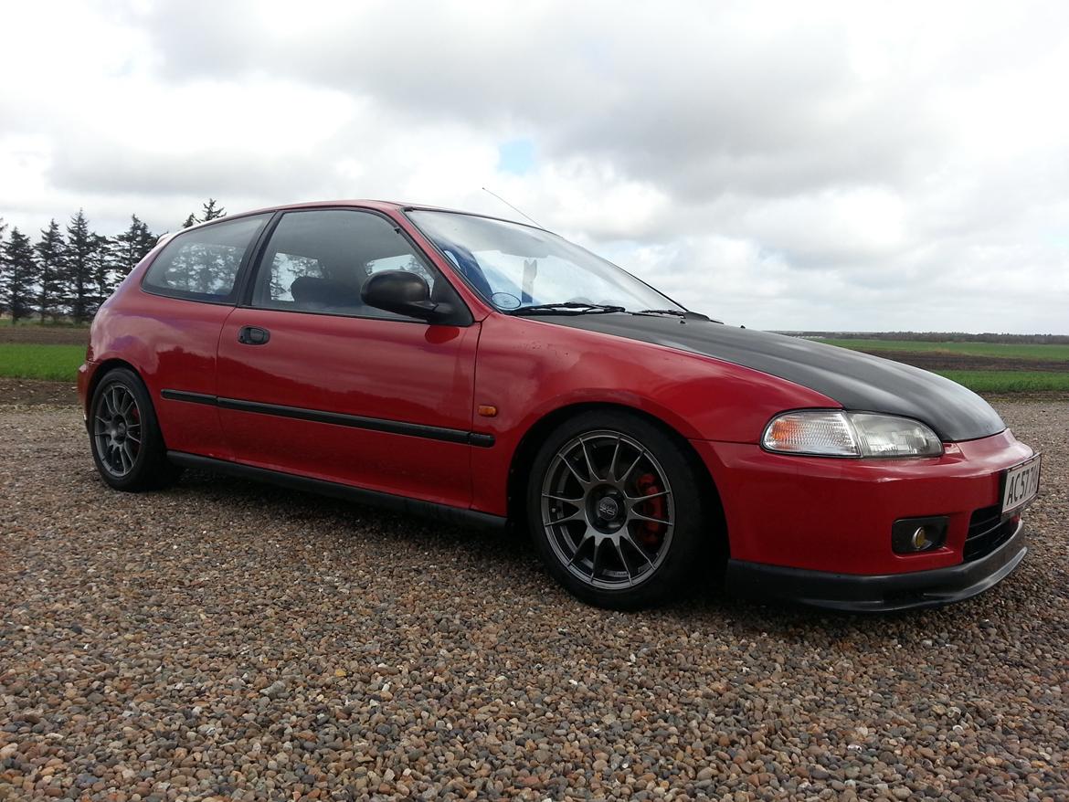 Honda Civic EG billede 7