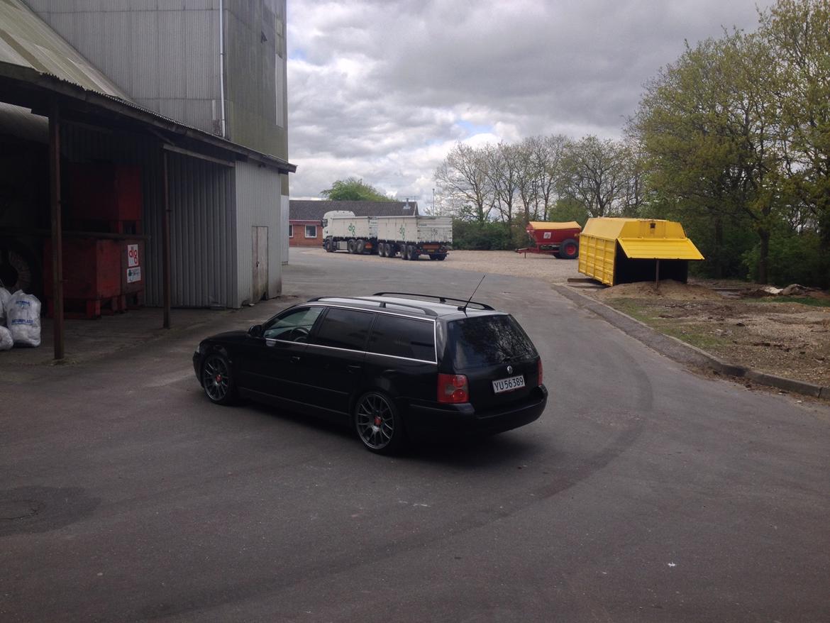 VW Passat 3BG 1,9TDI Variant 130HK billede 5