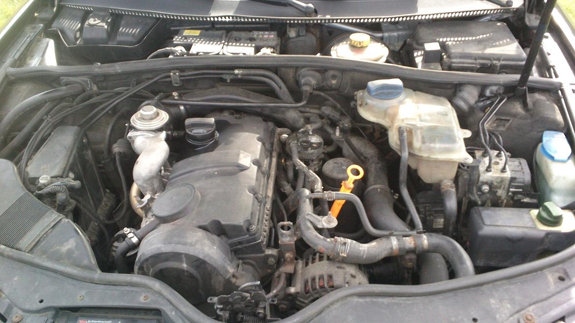 VW Passat 3B 1,9 TDI Van billede 28