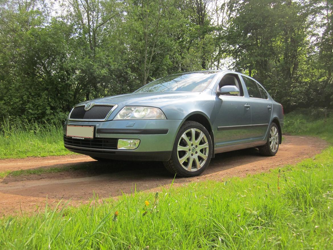 Skoda Octavia 1z 2,0 Fsi Elegance Plus billede 1