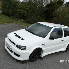 VW Polo 6N ( SOLGT )