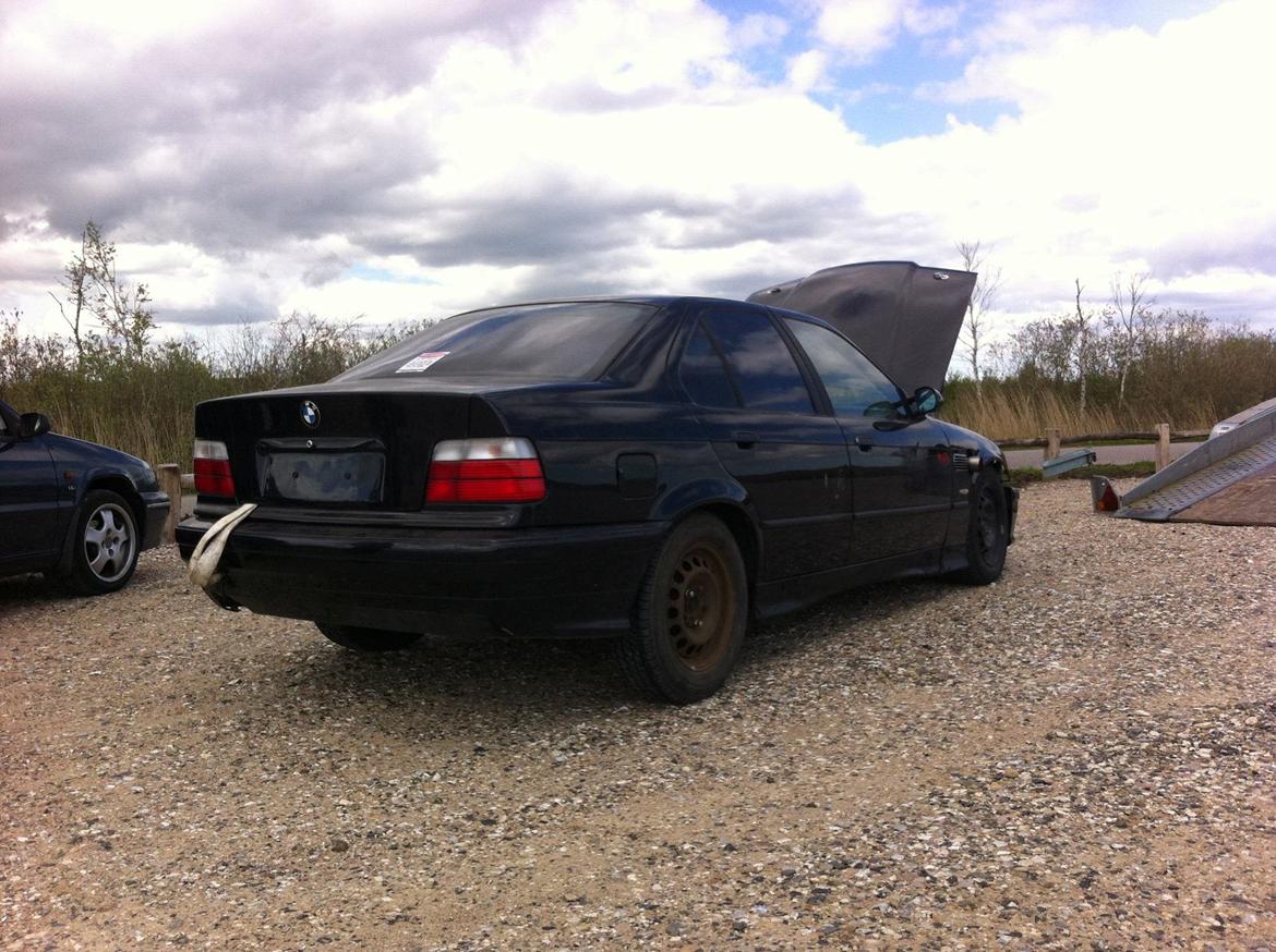 BMW E36 316i Turbo billede 3