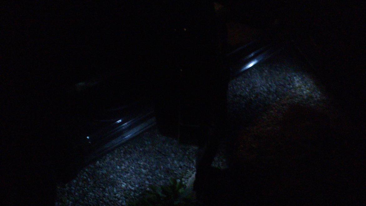 VW Passat 3B 1,9 TDI Van billede 17