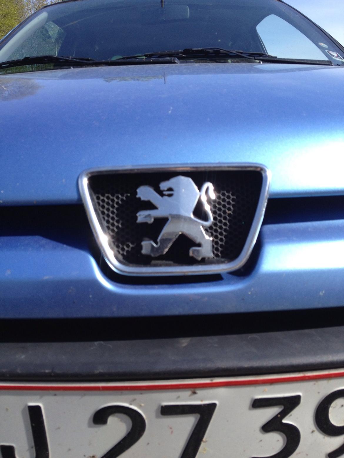 Peugeot 306 billede 16