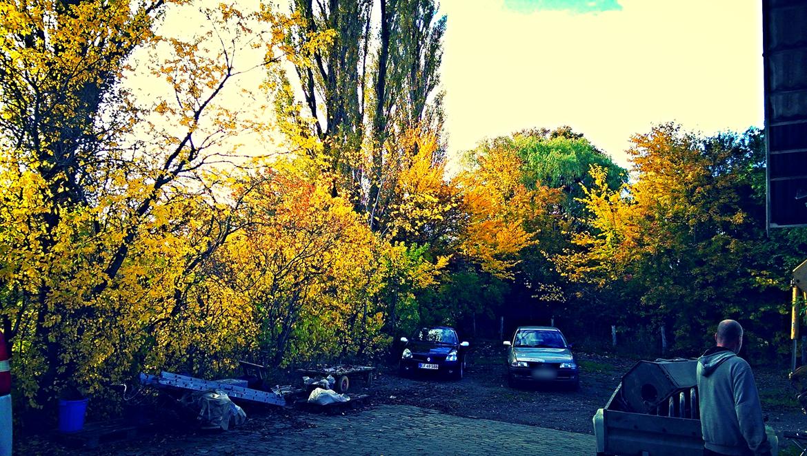 Renault Clio DCI (totalskadet)  billede 5