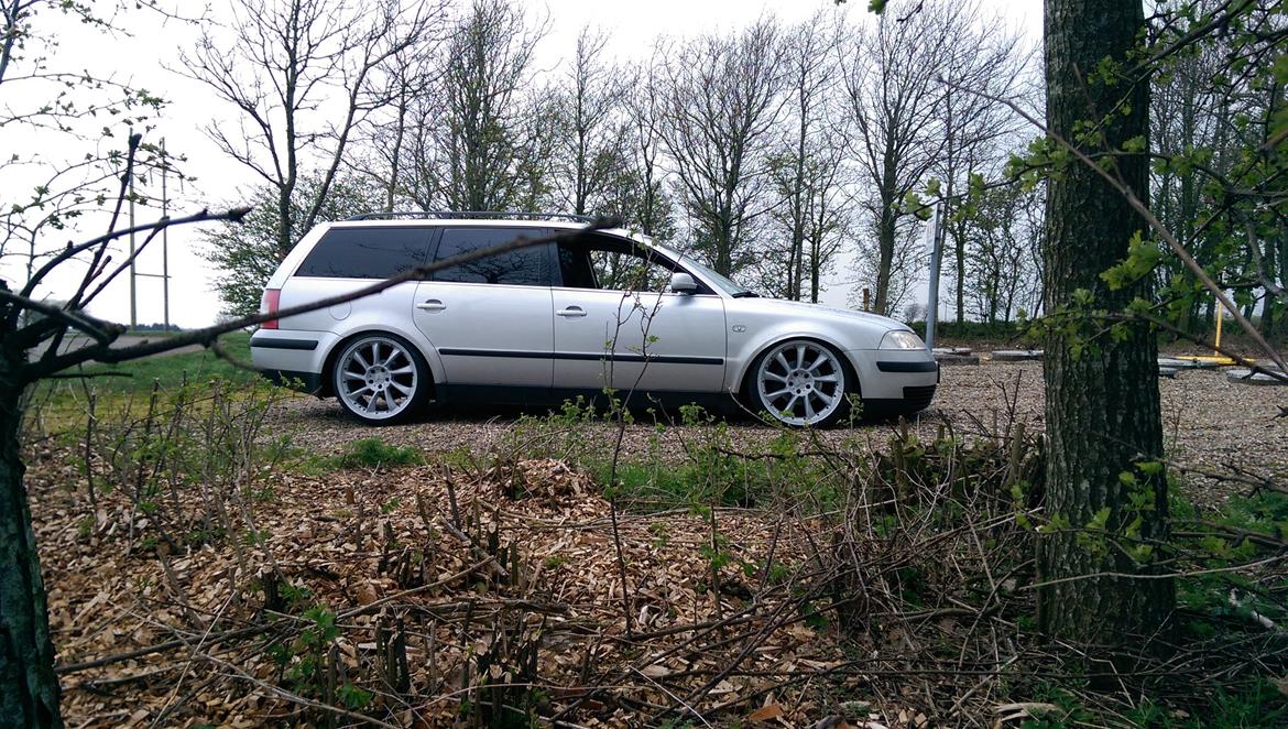 VW Passat TDI 130 6G "STATIC" billede 6