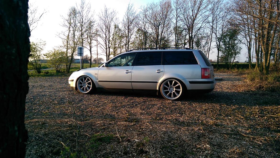 VW Passat TDI 130 6G "STATIC" billede 11
