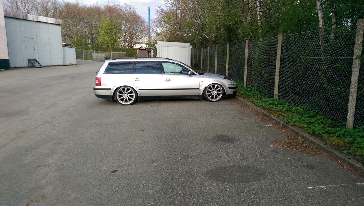 VW Passat TDI 130 6G "STATIC" billede 14