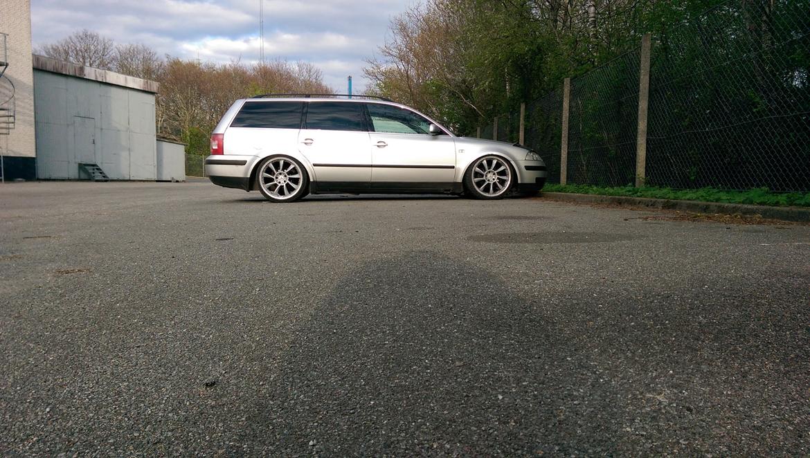 VW Passat TDI 130 6G "STATIC" billede 15