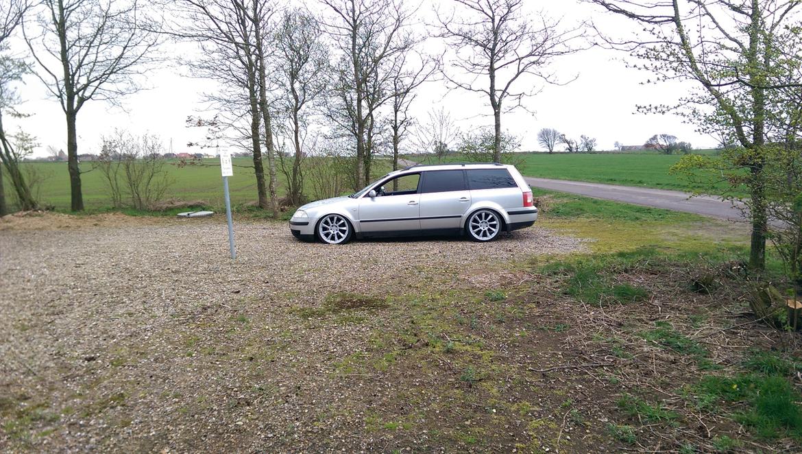 VW Passat TDI 130 6G "STATIC" billede 3