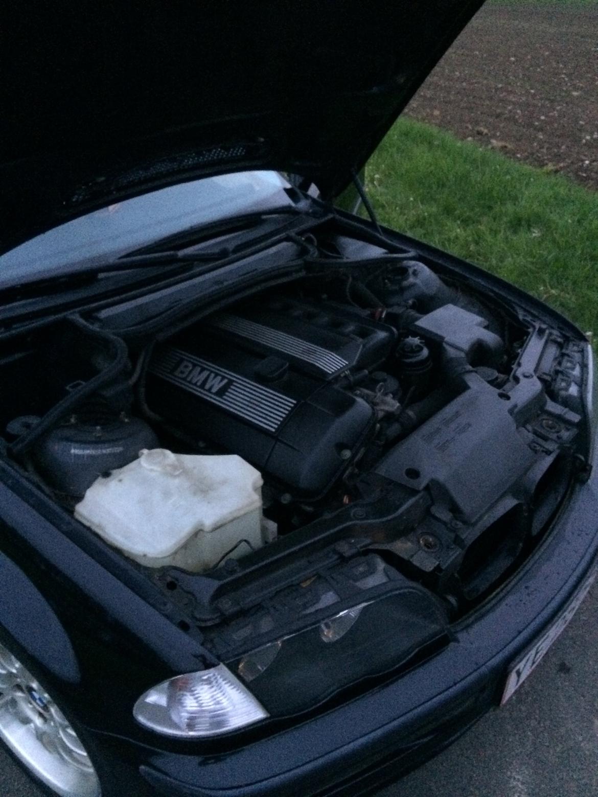 BMW E46 320i billede 11