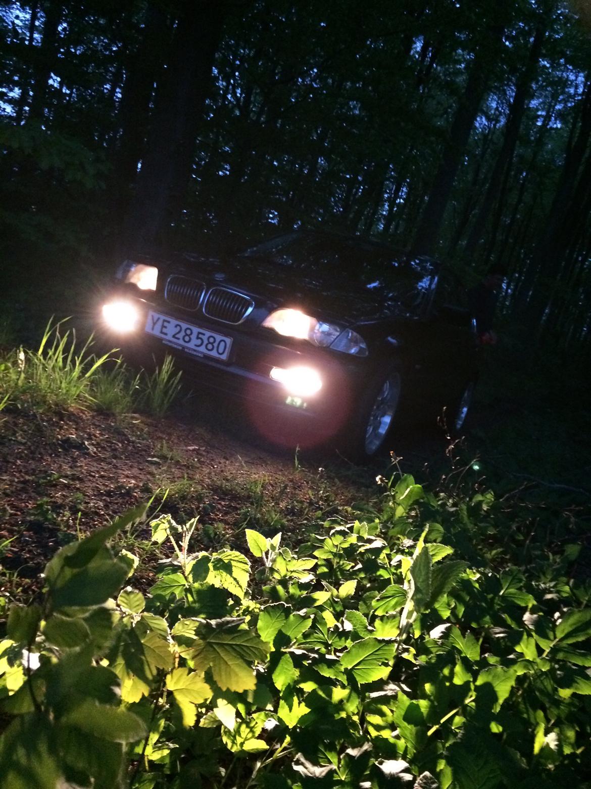 BMW E46 320i - På skovtur billede 12