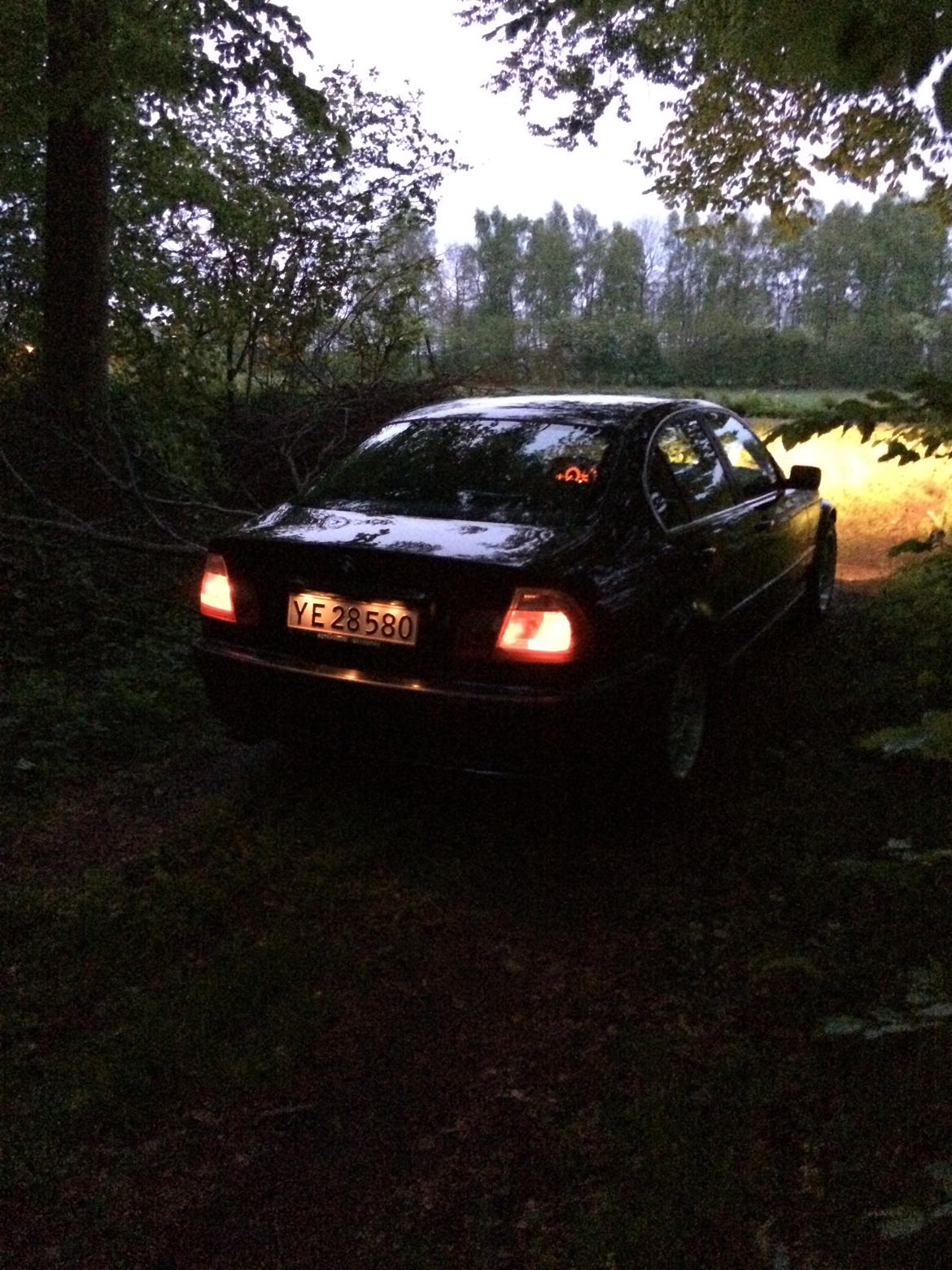 BMW E46 320i billede 13