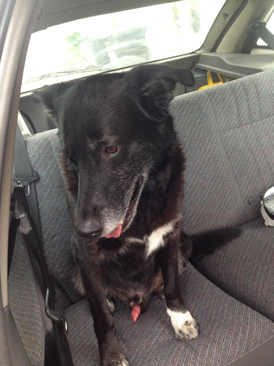 Opel Astra billede 9