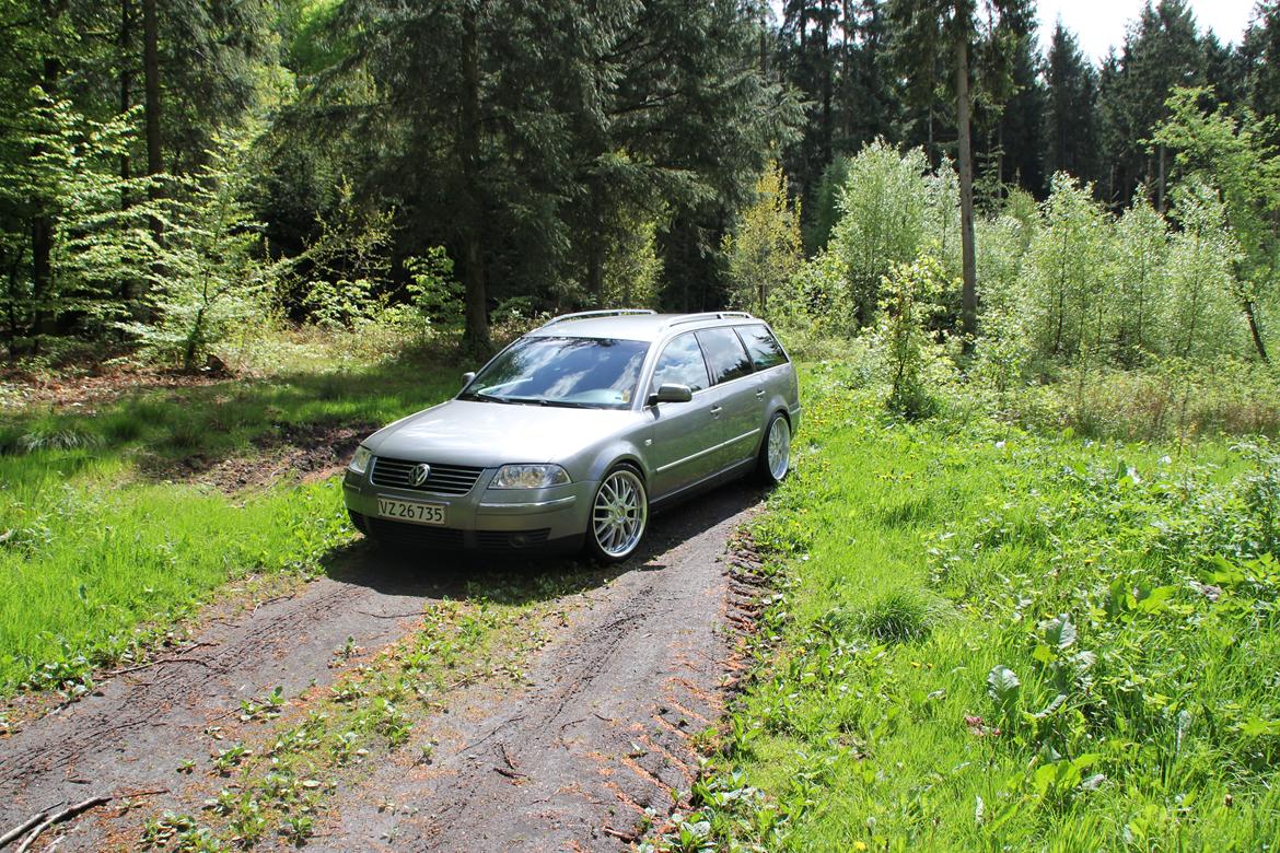 VW Passat 3BG HIGHLINE billede 10