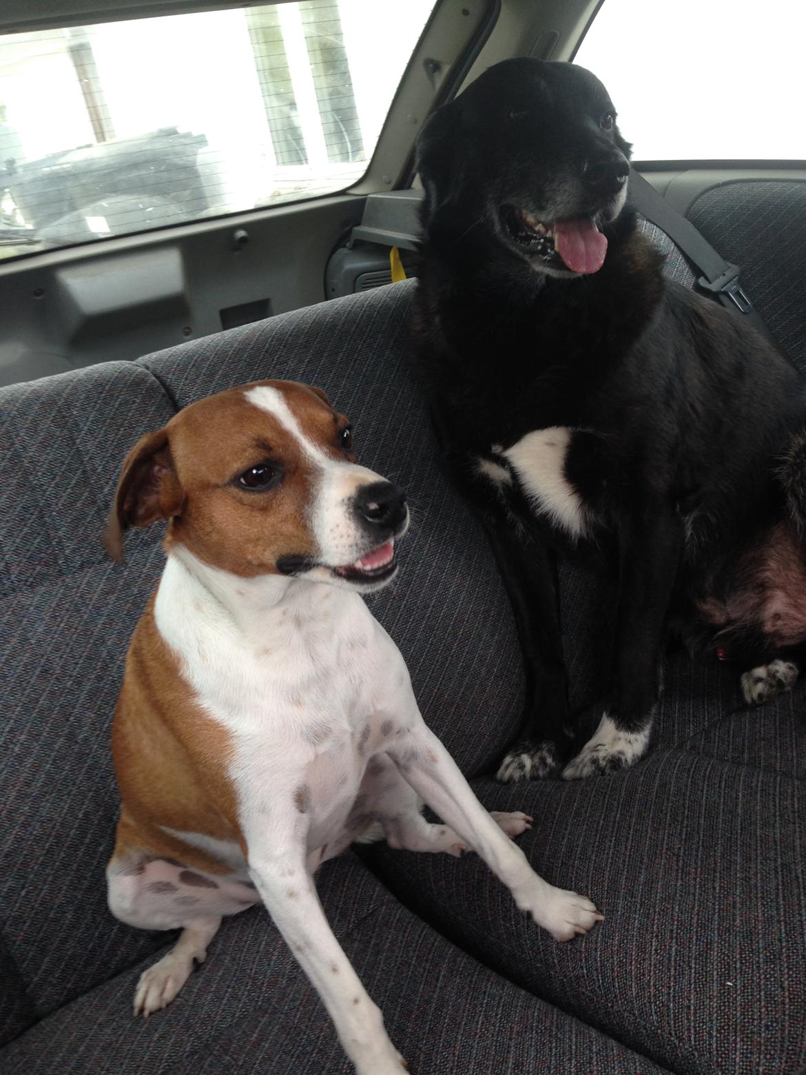 Opel Astra billede 10