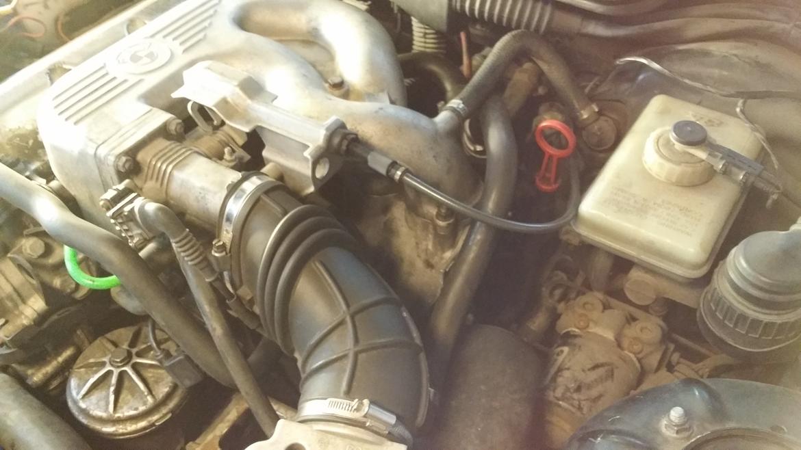 BMW E36 318is - alle slanges var gamle og er blevet skiftet billede 11