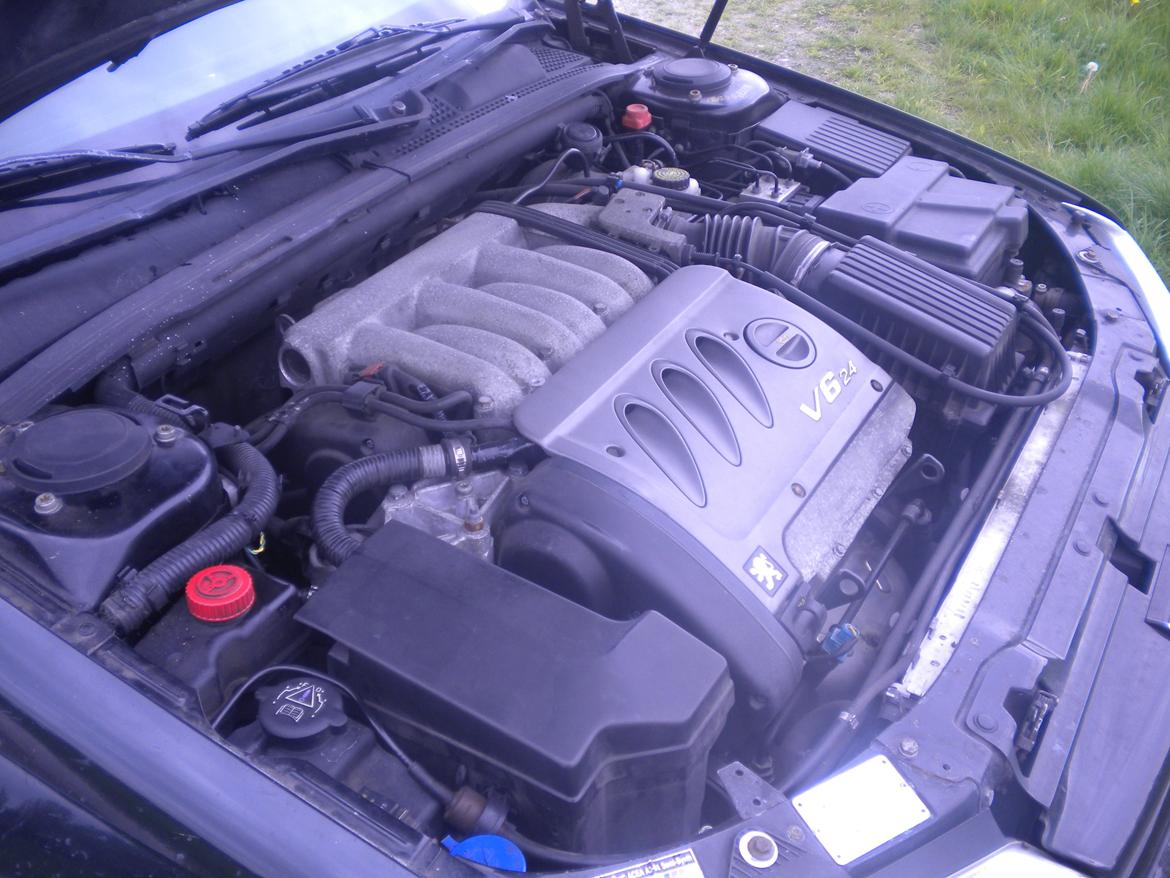 Peugeot 406 3.0 v6 billede 8