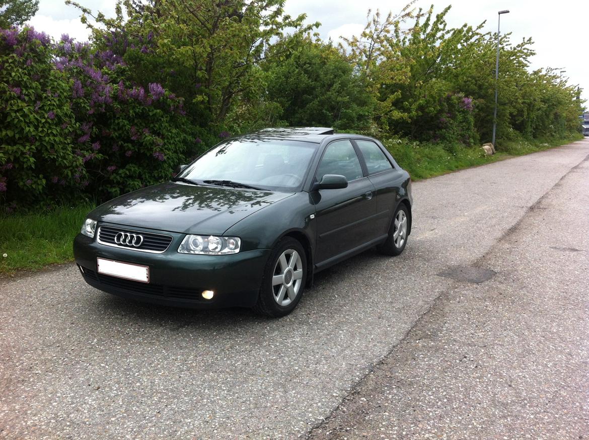 Audi A3 Ambiente billede 3