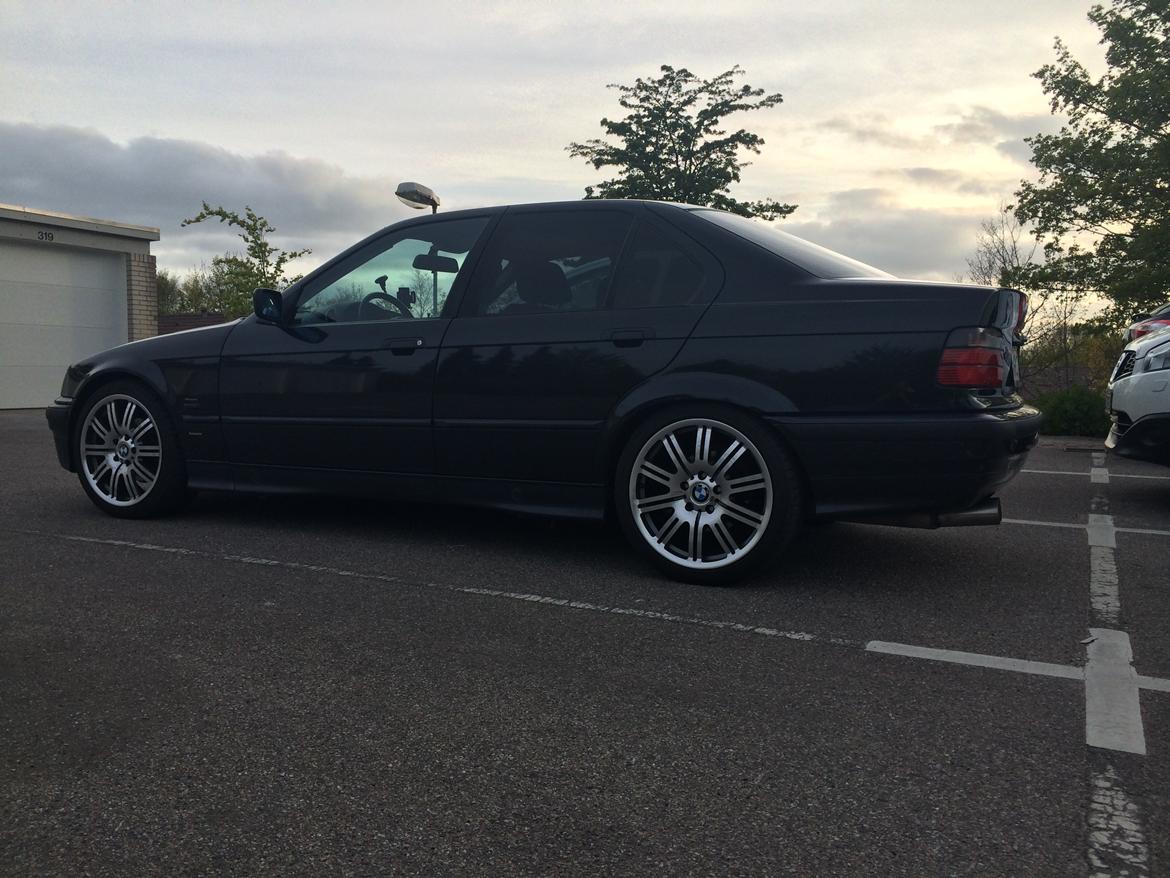 BMW 323 billede 5