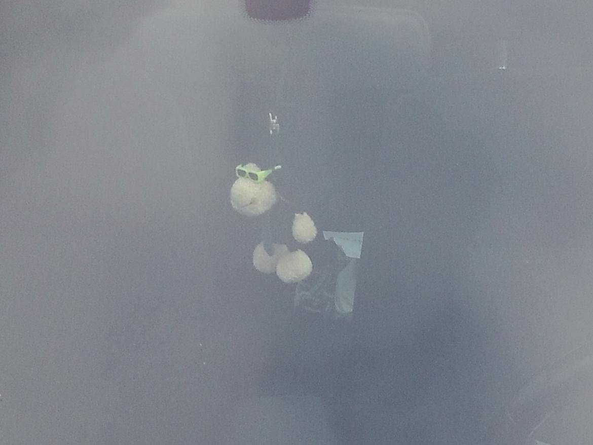 Ford Mondeo 2,5 V6 Trend - Min tro følgesvend, dog blev fruen og jeg enige om at vi helelre måtte finde et sort får til en sort bil, desuden passer det sorte får nok også bedst til os som personer ;-) billede 8