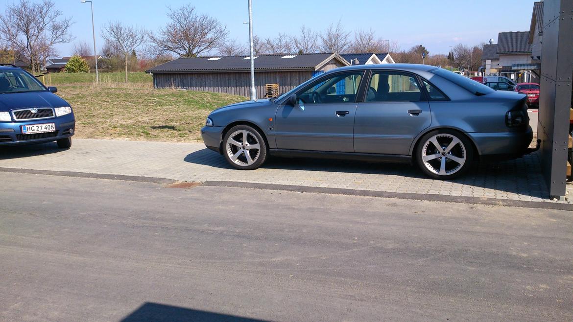 Audi a4 billede 12