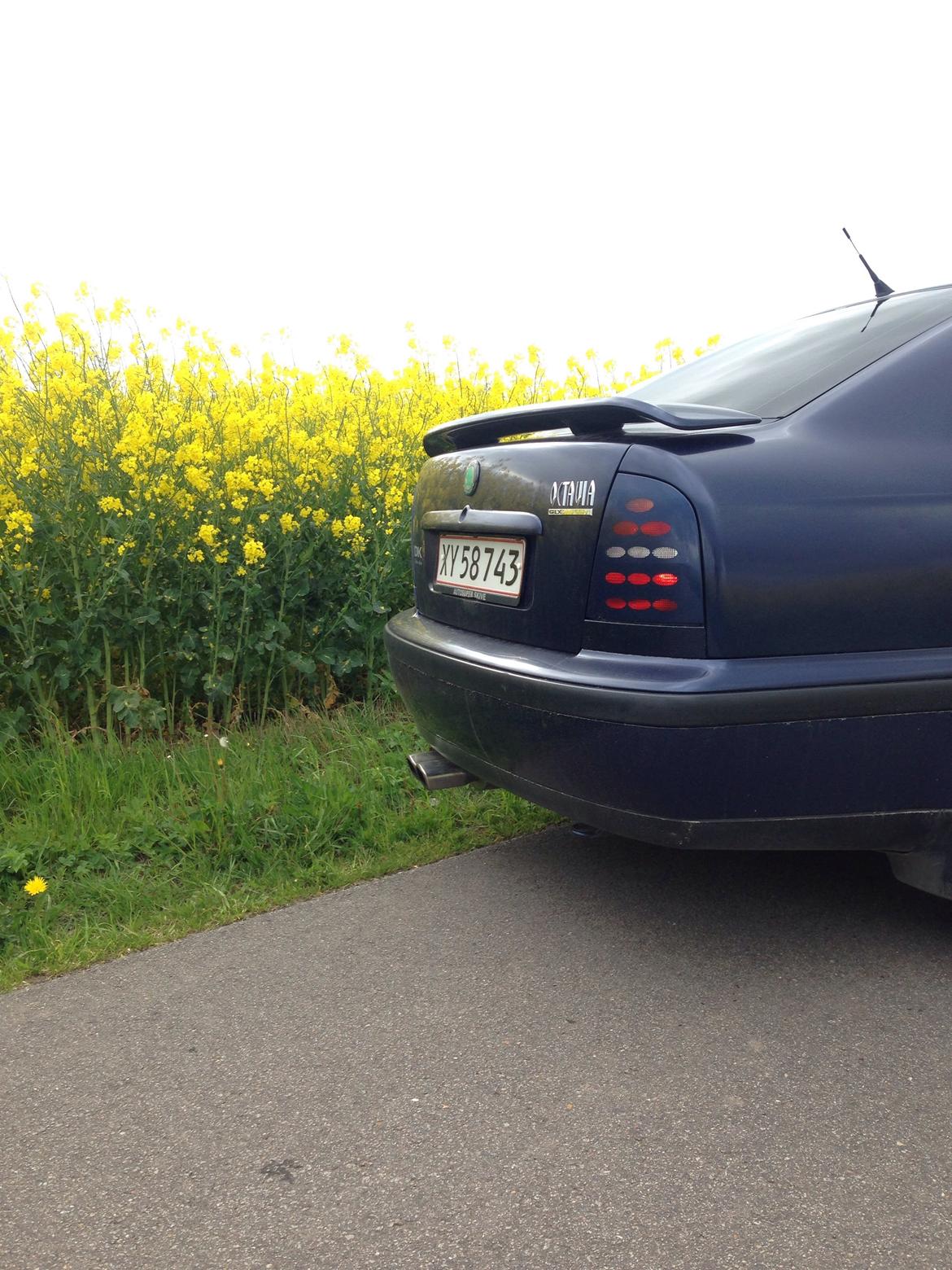 Skoda Octavia billede 8