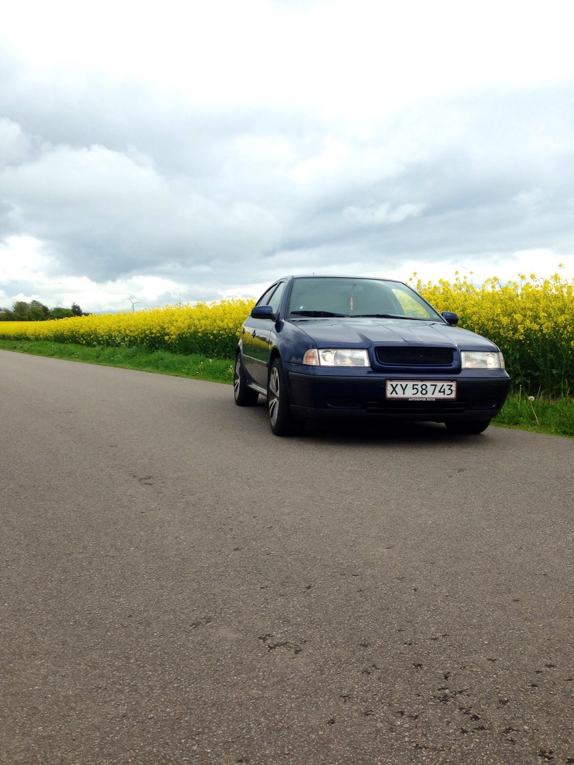 Skoda Octavia billede 14