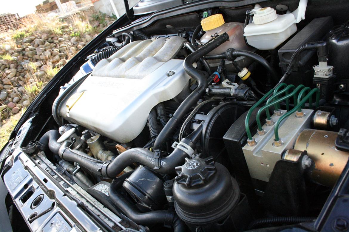 Opel Tigra  S93 Coupé billede 19