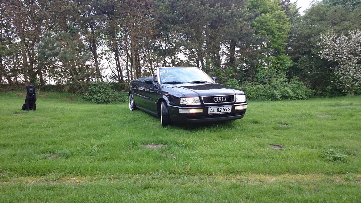 Audi 80 cabriolet billede 1