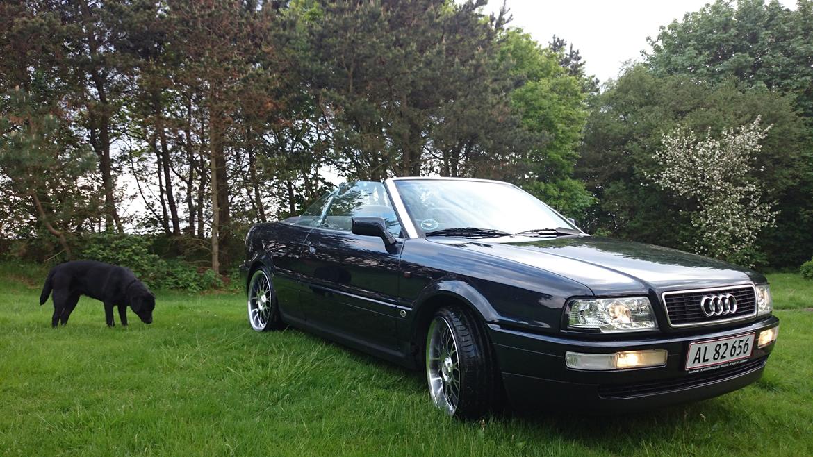 Audi 80 cabriolet billede 14