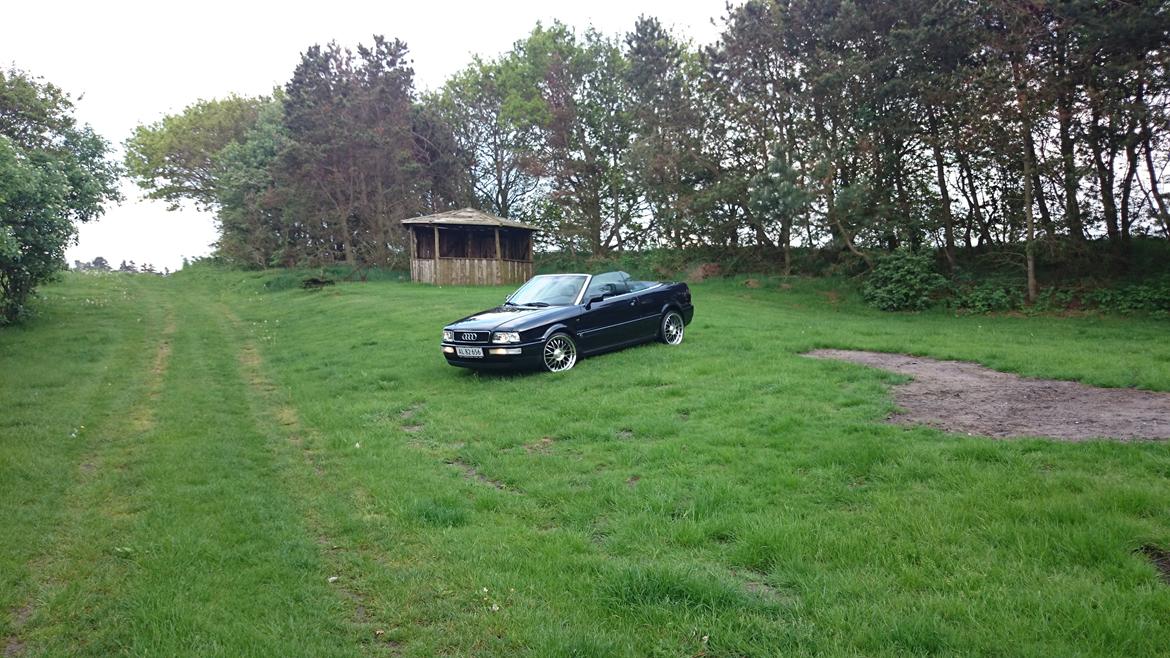 Audi 80 cabriolet billede 16