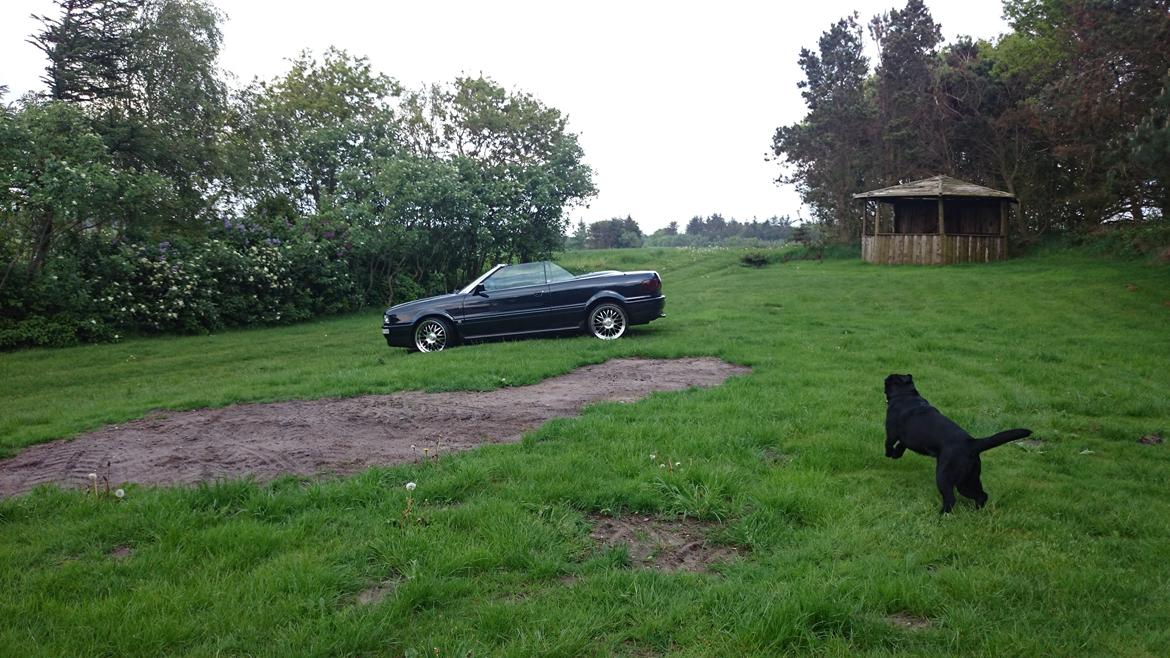 Audi 80 cabriolet billede 17