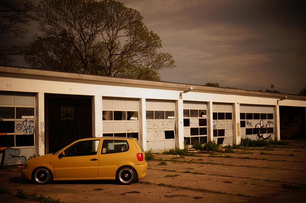 VW Polo 6N billede 10