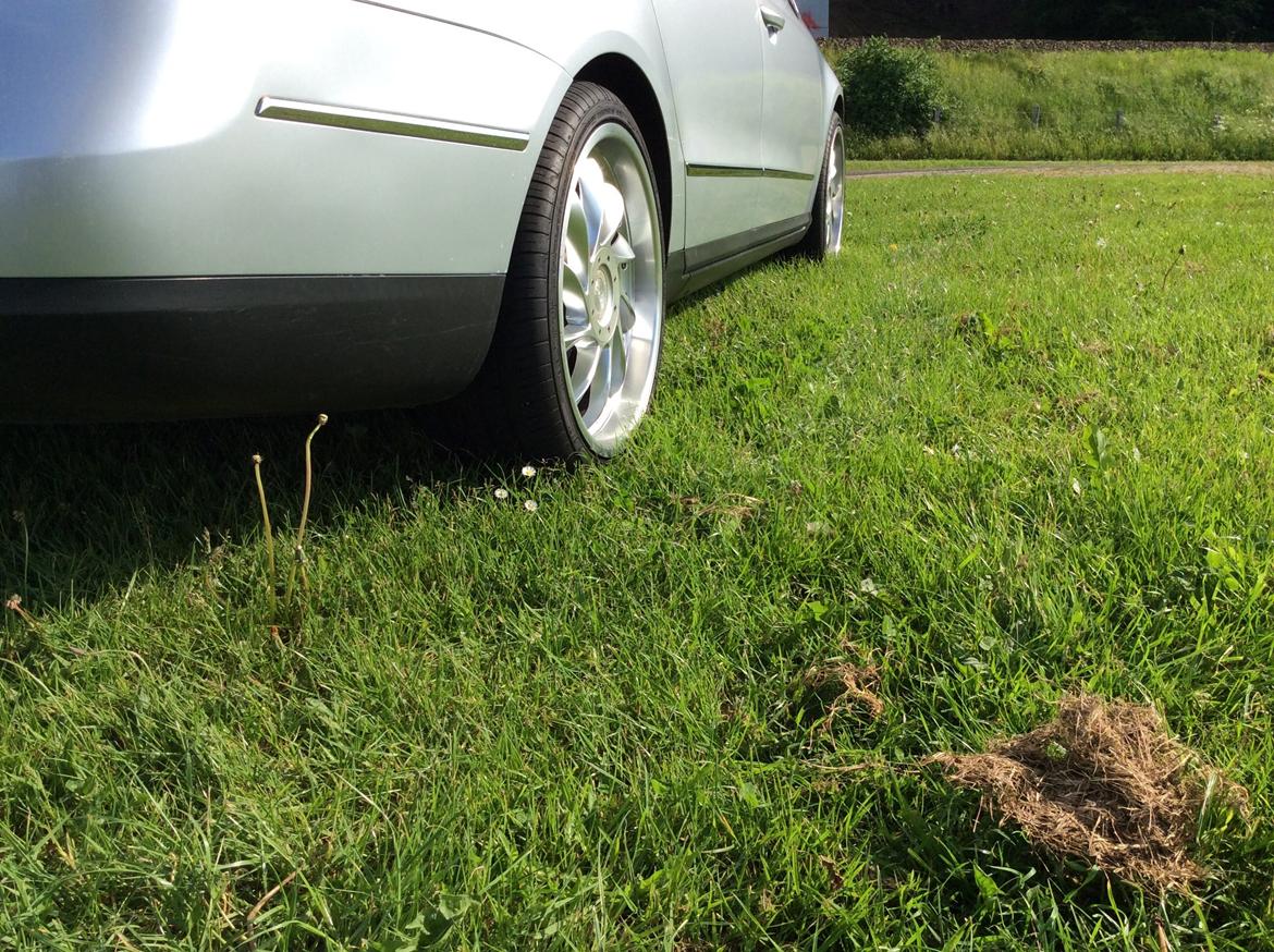 VW Passat 3c 2.0 TDI DSG Highline Variant billede 14