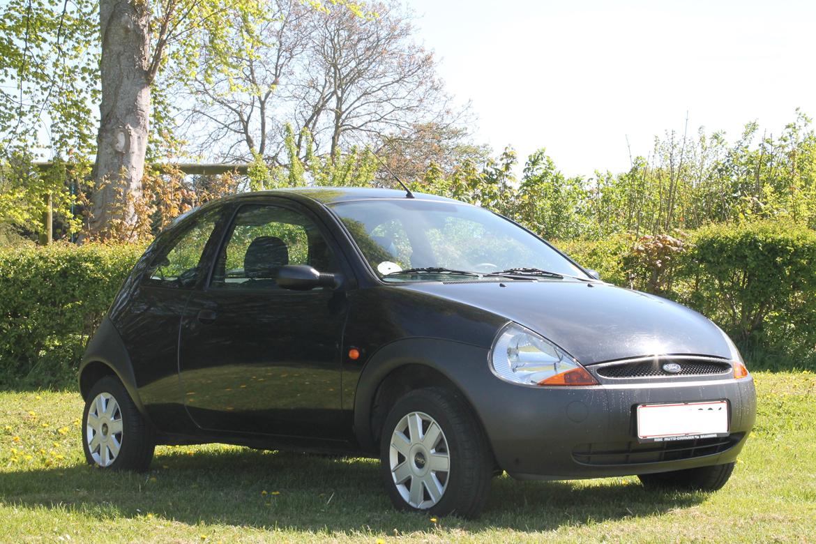 Ford Ka ( Solgt ) billede 2