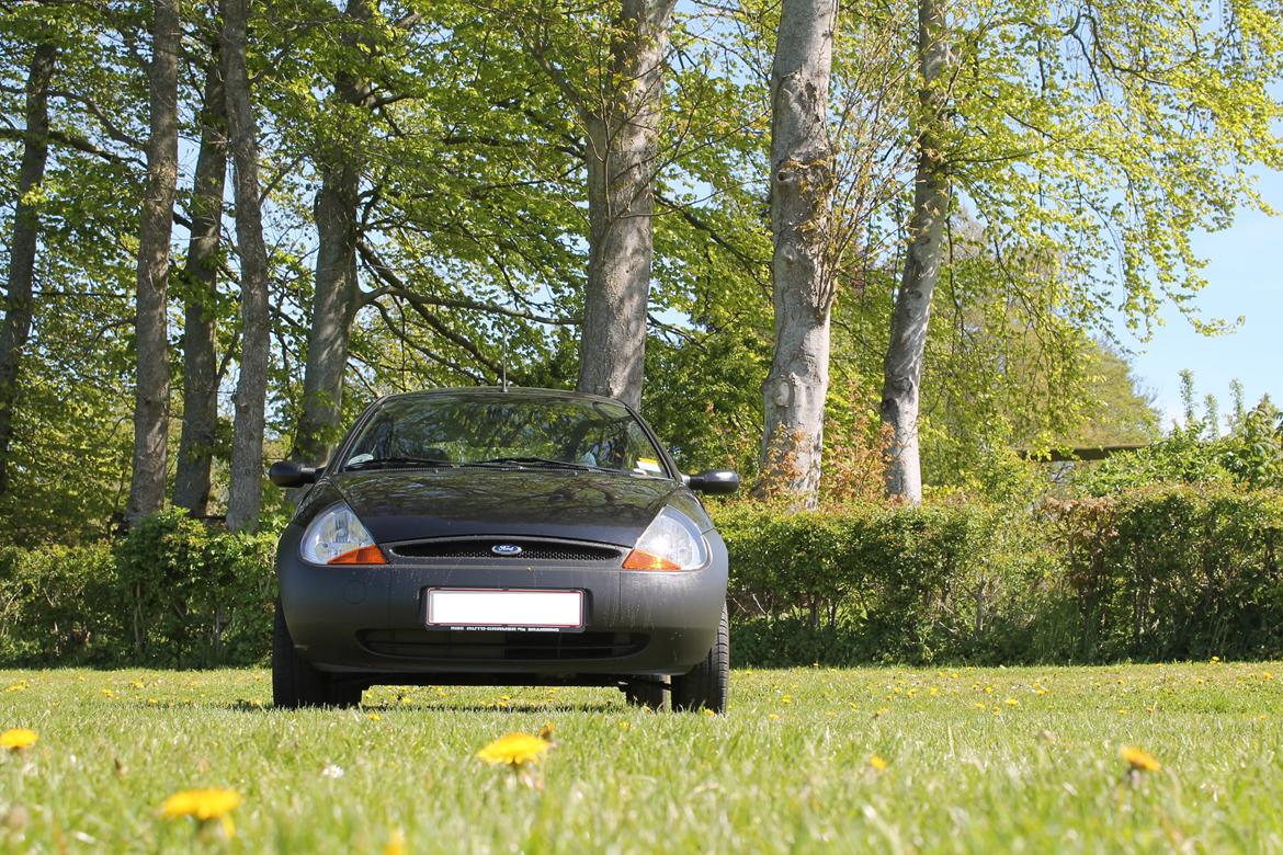 Ford Ka ( Solgt ) billede 6