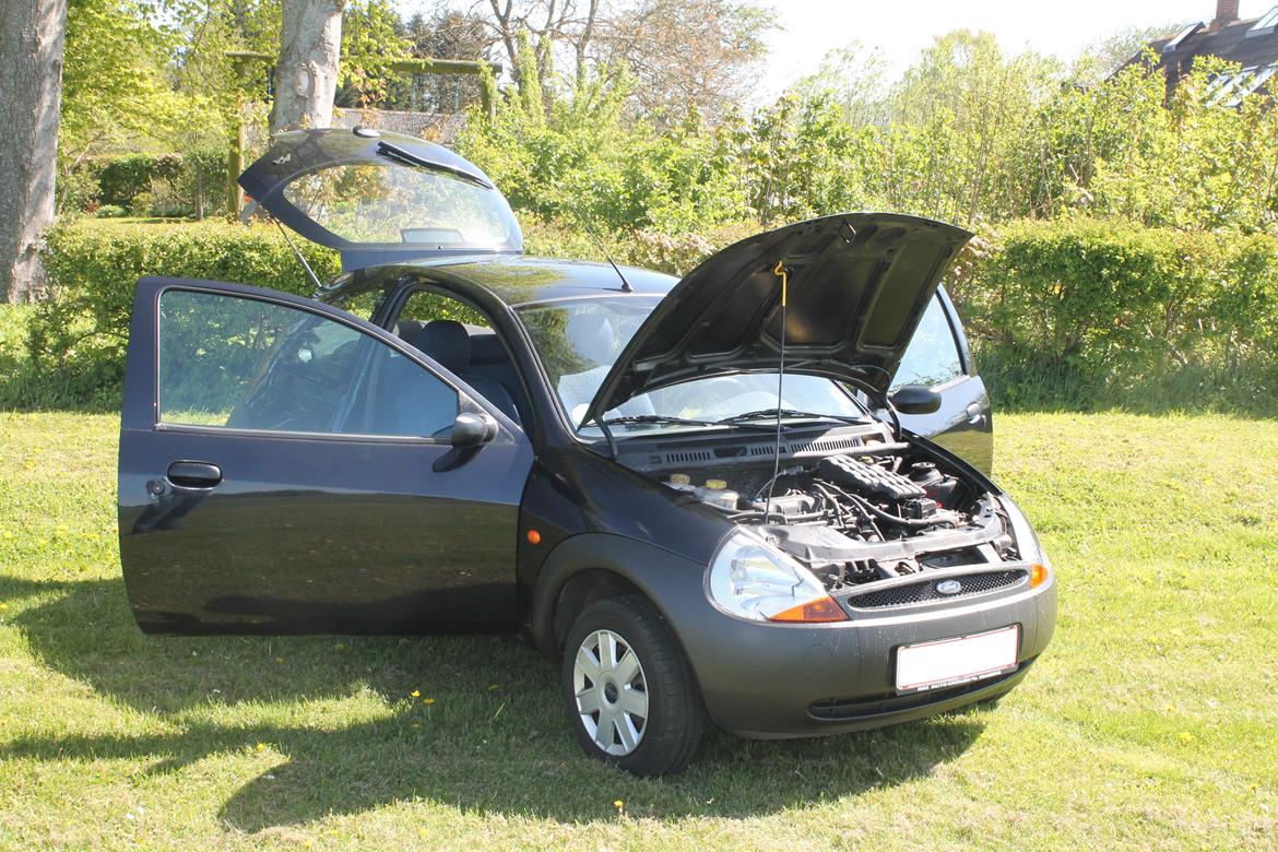 Ford Ka ( Solgt ) billede 17