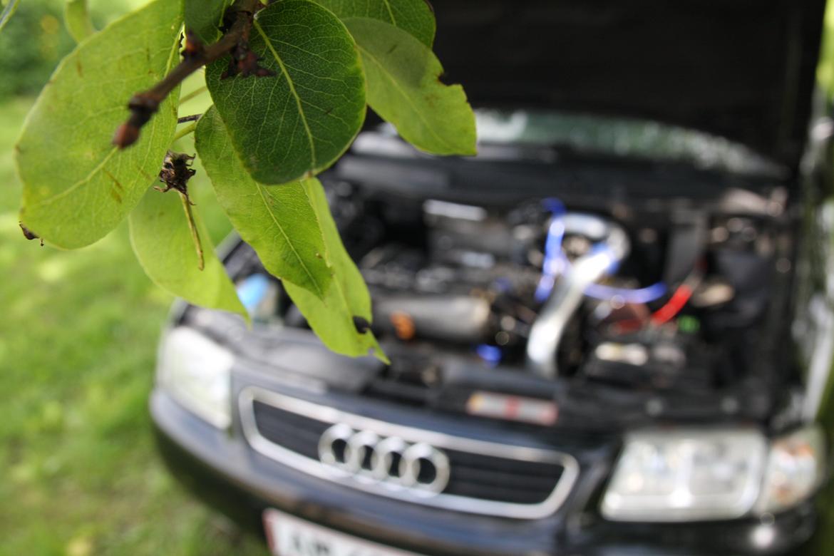 Audi A3 1,8T [Tidl. Bil] billede 14