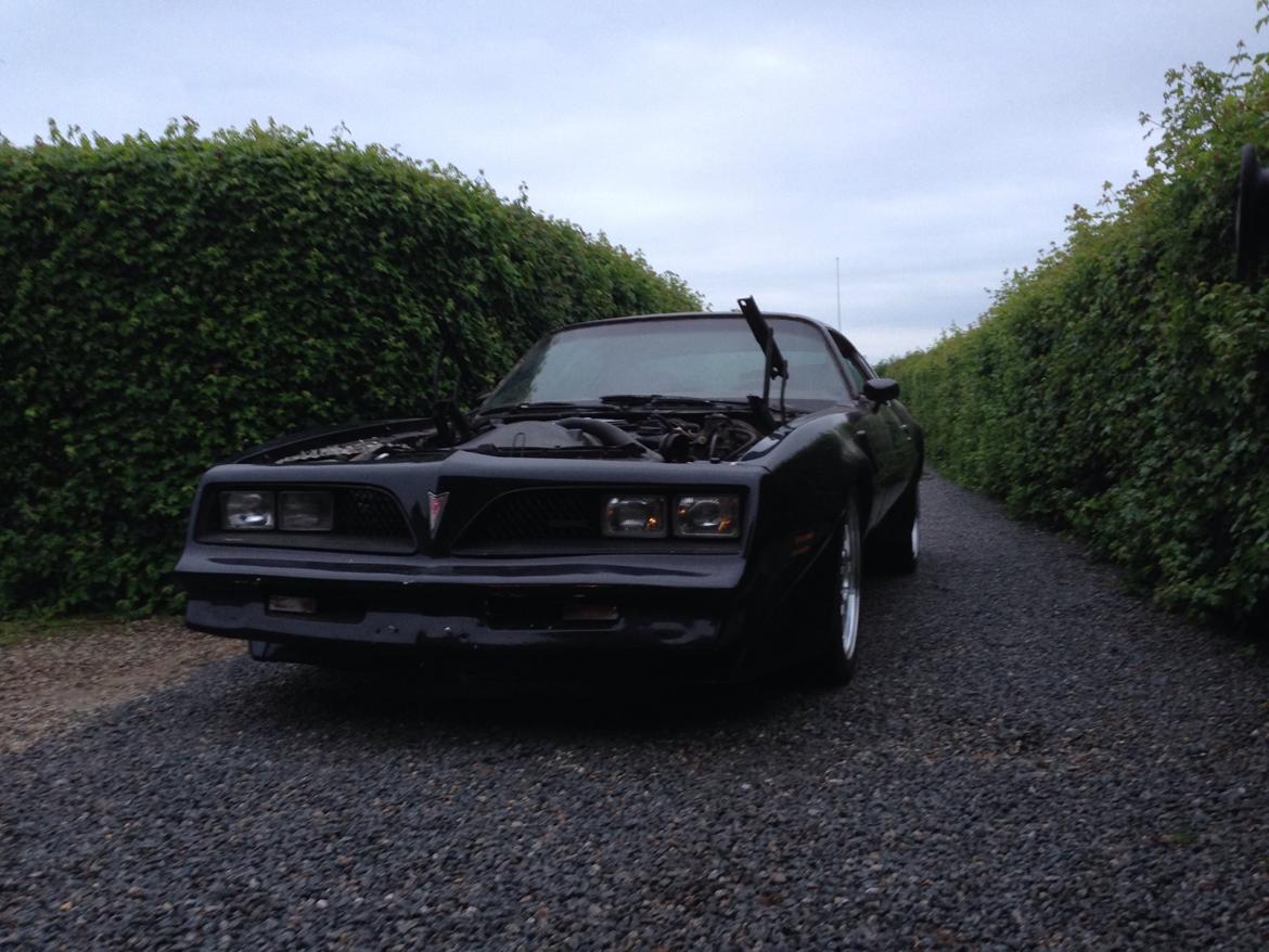 Pontiac Trans Am billede 9