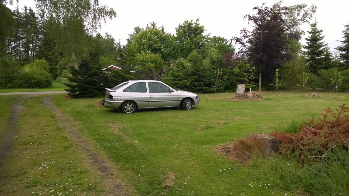 Ford Escort 1,8 SPORT VI billede 16