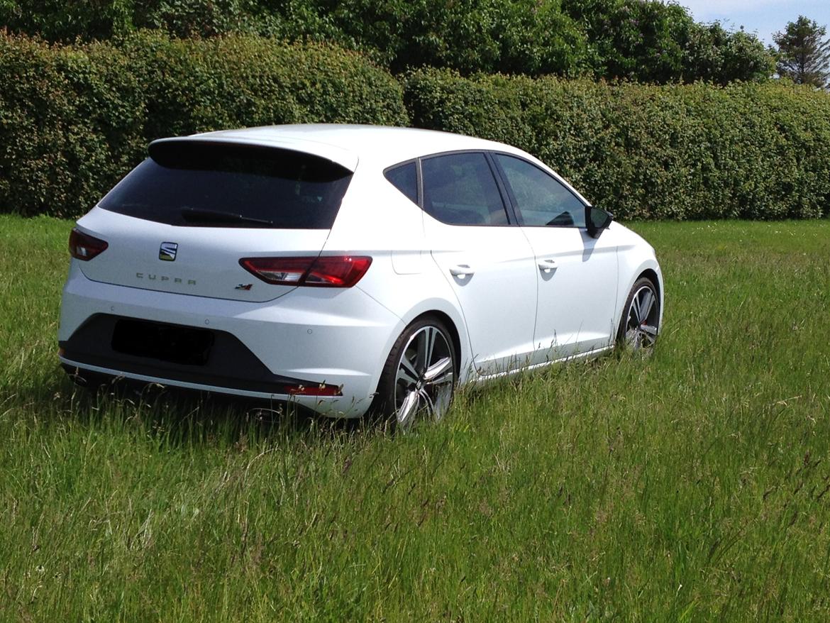 Seat Leon Cupra billede 4